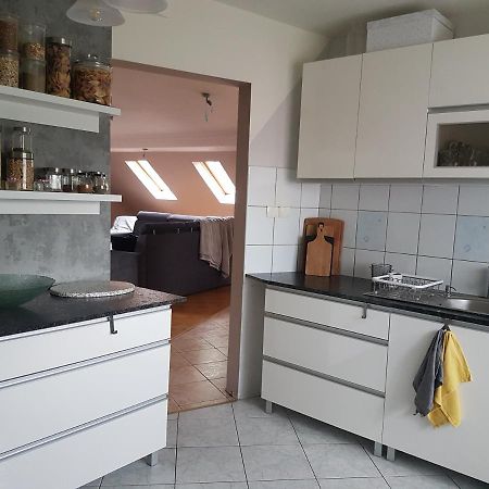 Wczasowisko Karola Apartment Lubomierz  Ngoại thất bức ảnh